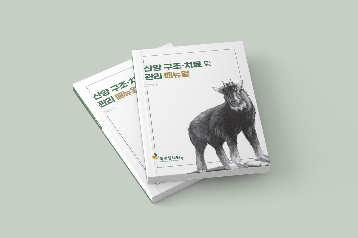 d4d2bafa3d875007eed836f7318ed4c9_1793175099_11.jpg